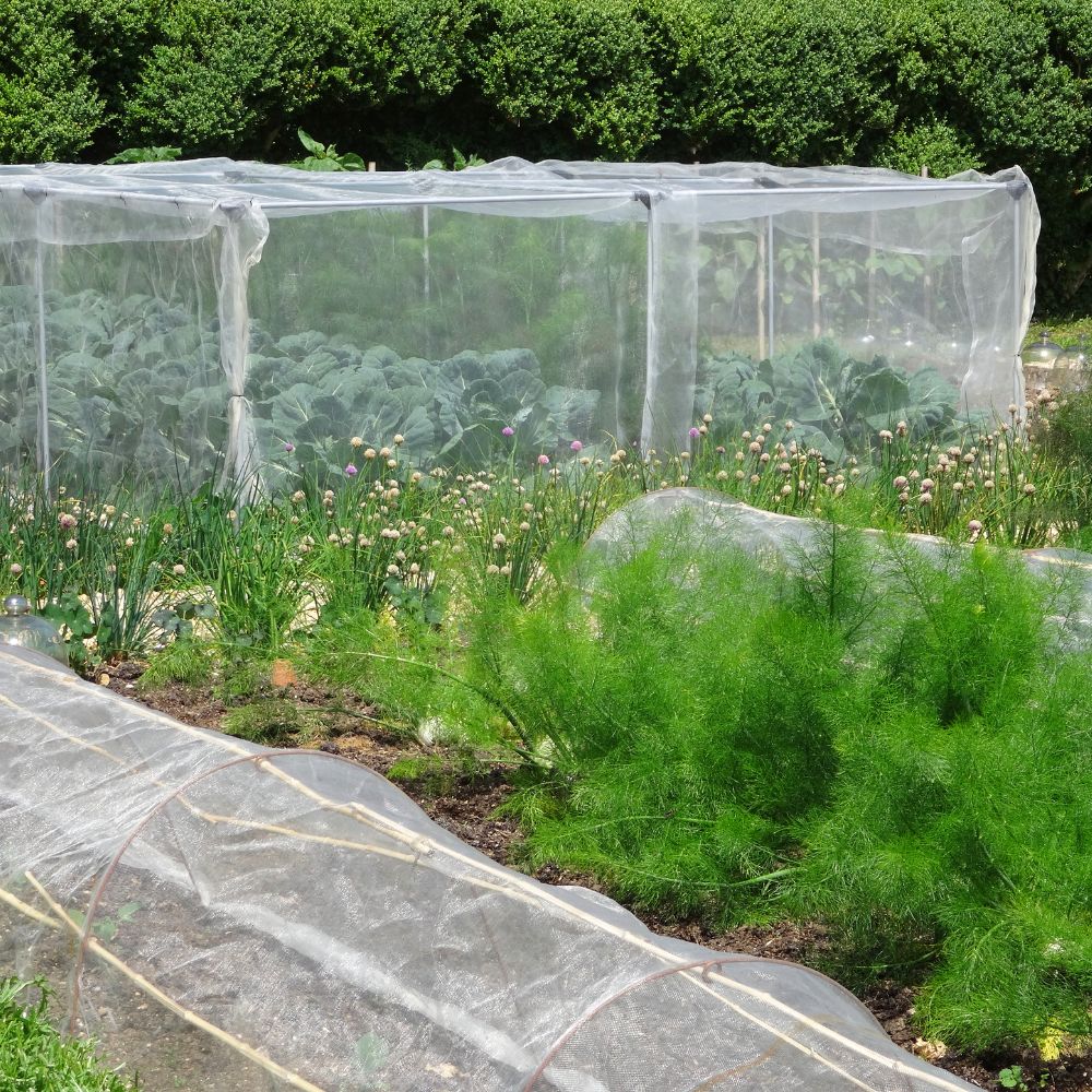 Abdeckvlies für Pflanzen – 19 g/m² & 30 g/m² Frostschutz & Schädlingsschutz Atmungsaktives Pflanzenschutzvlies | 1,6 m Breite