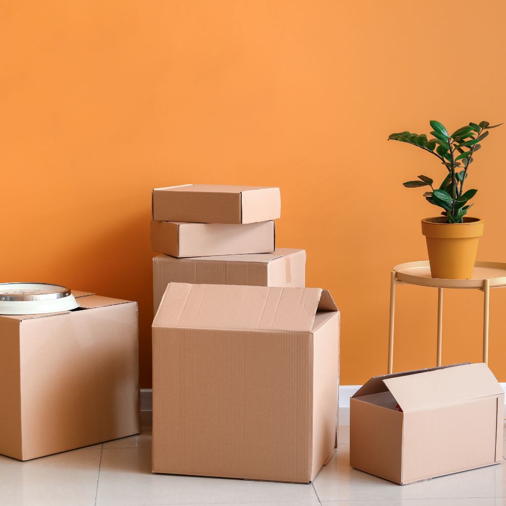 Faltkartons für sicheren Versand – robuste Kartons für Pakete & Lagerung DHL Versandhülse Tube