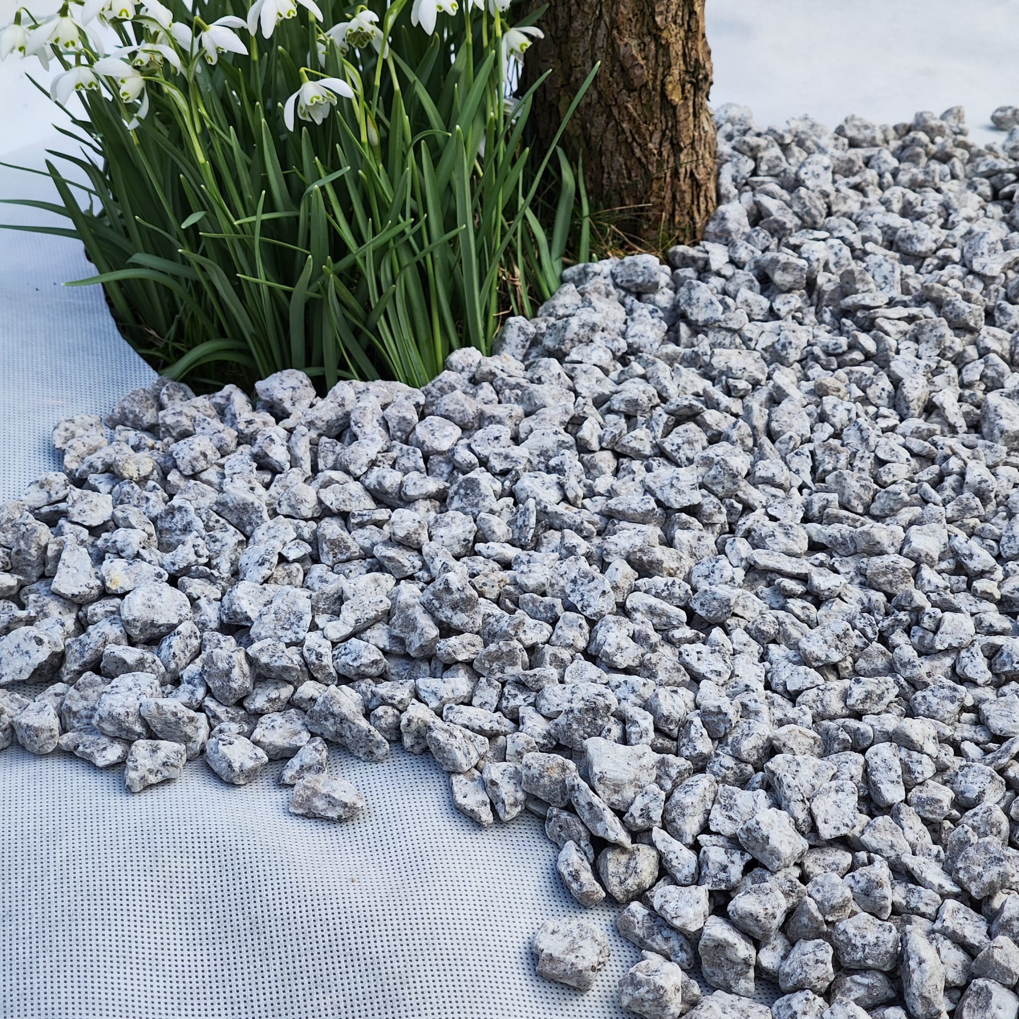 Unkrautvlies 60 g/m² – Weiß, Umweltfreundlich, Wasserdurchlässig & Ideal für Garten & Terrasse