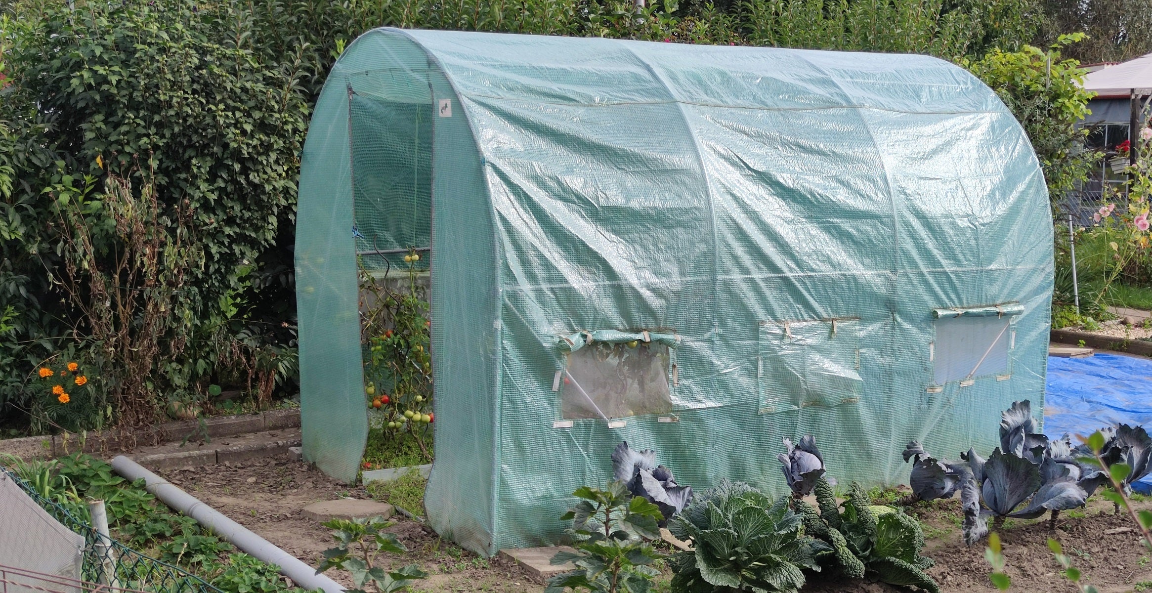 Premium Gitterfolie in 1,5m & 2m Breite mit verstärktem Rand – Langlebig, reißfest & UV-stabil