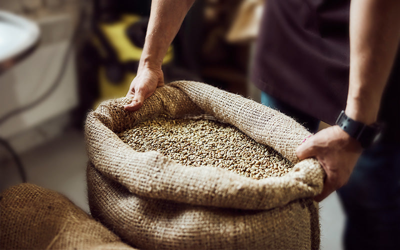 Jutesack cm Kartoffelsack Winterschutz für Topf- Kubelpflanzen Frostschutz