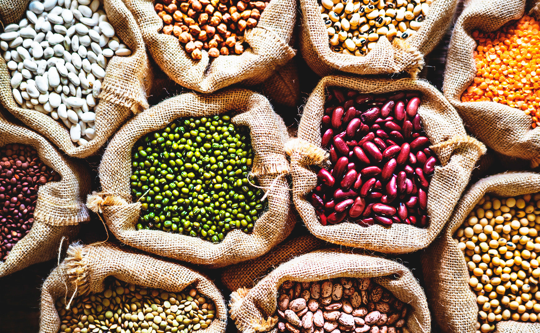 Jutesack cm Kartoffelsack Winterschutz für Topf- Kubelpflanzen Frostschutz