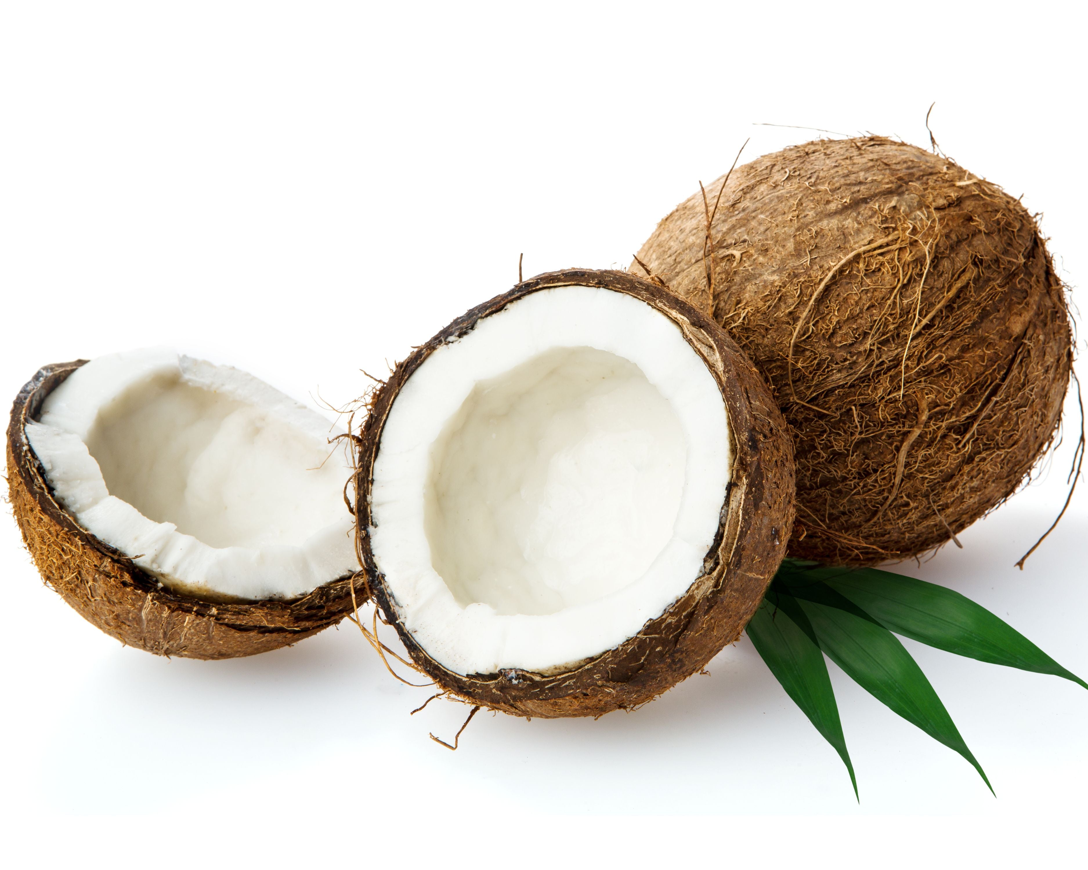 Kokosmatte 800g/m² Winterschutz Pflanzen Kälteschutz Frostschutz Naggermatte
