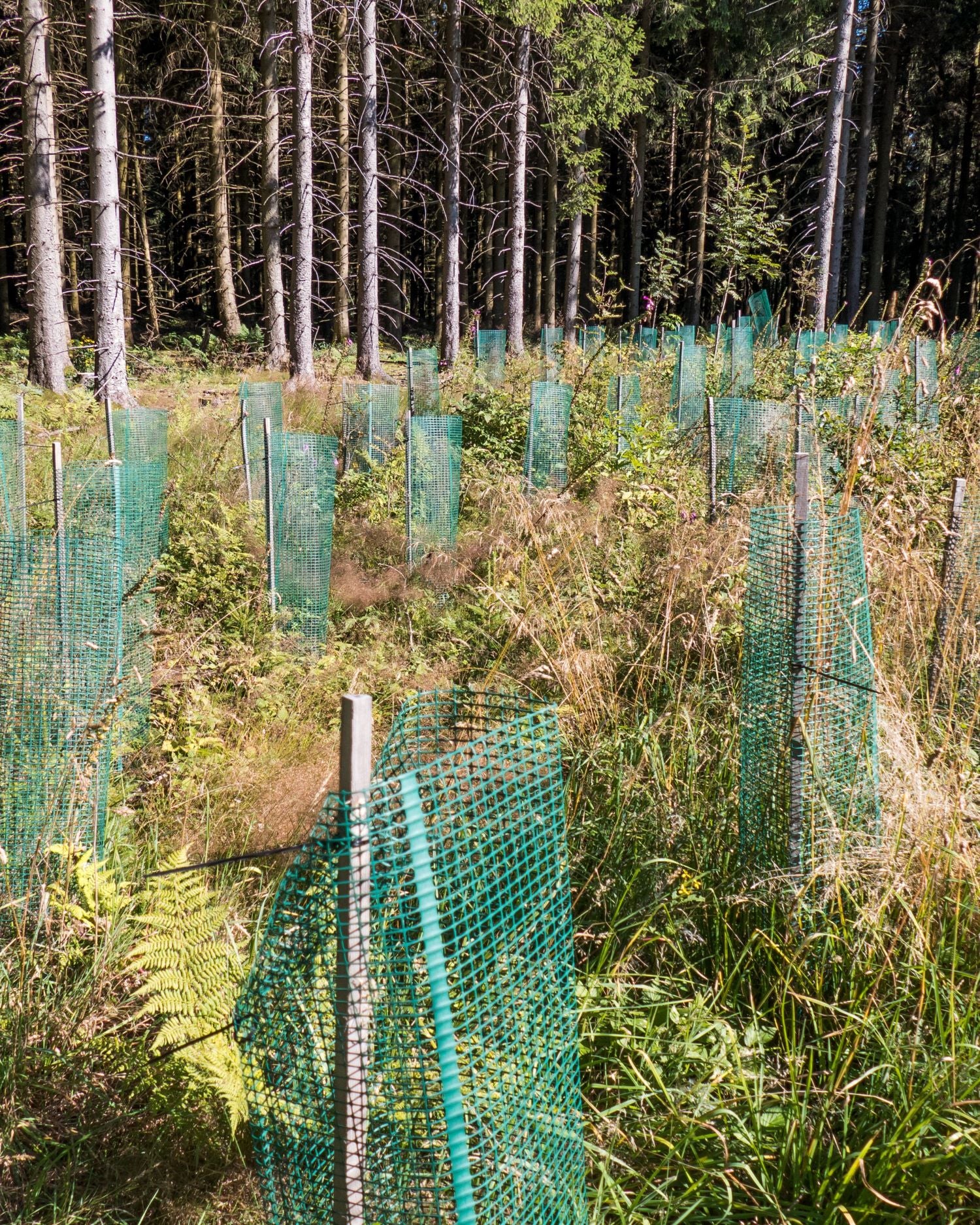 Kunststoffzaun 1,2m Br. Hühnerzaun Geflügelzaun Gartenzaun Zaun
