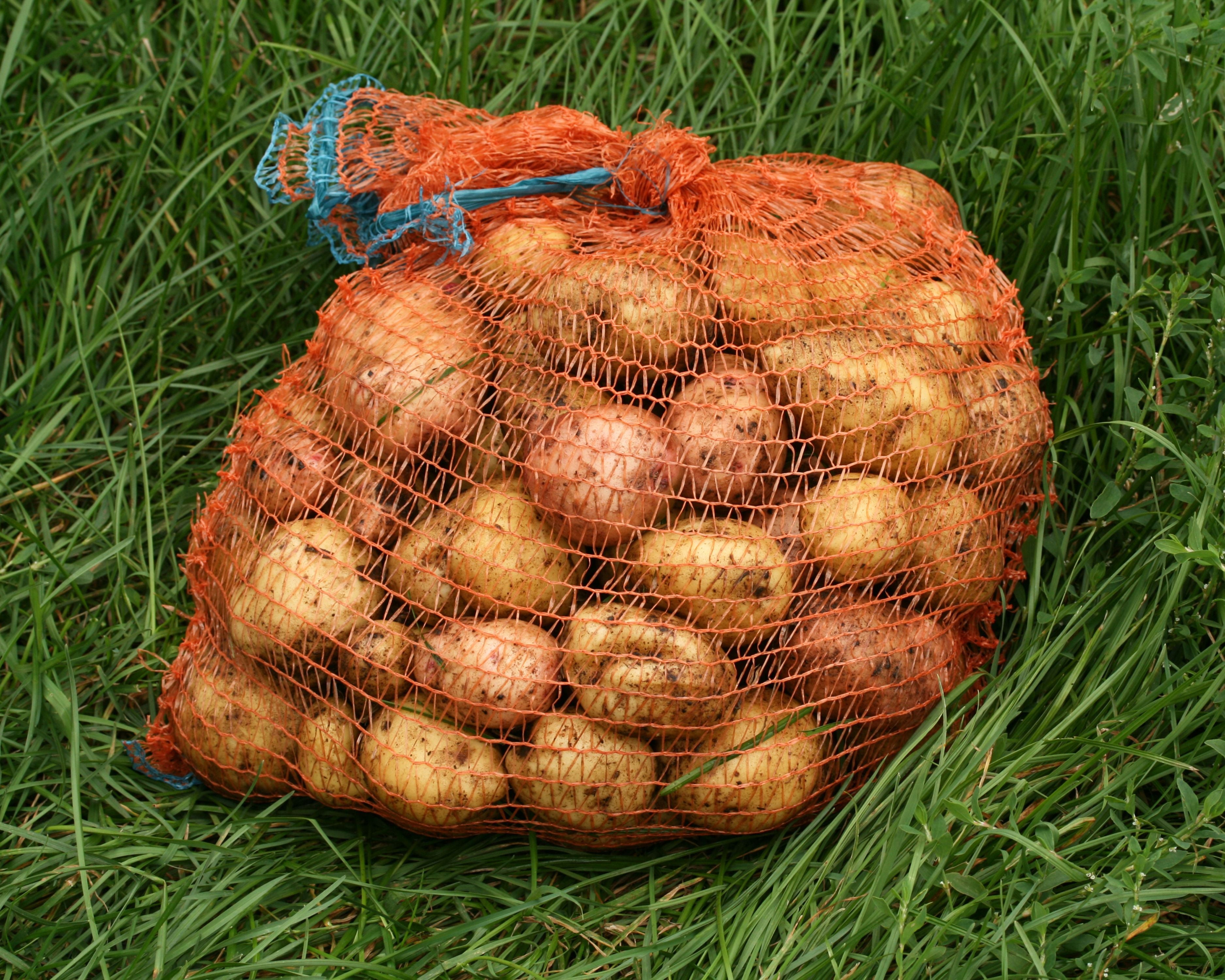 Raschelsäcke für Kartoffeln, Gemüse & Zwiebeln – Atmungsaktive & Reißfeste Lagerbeutel