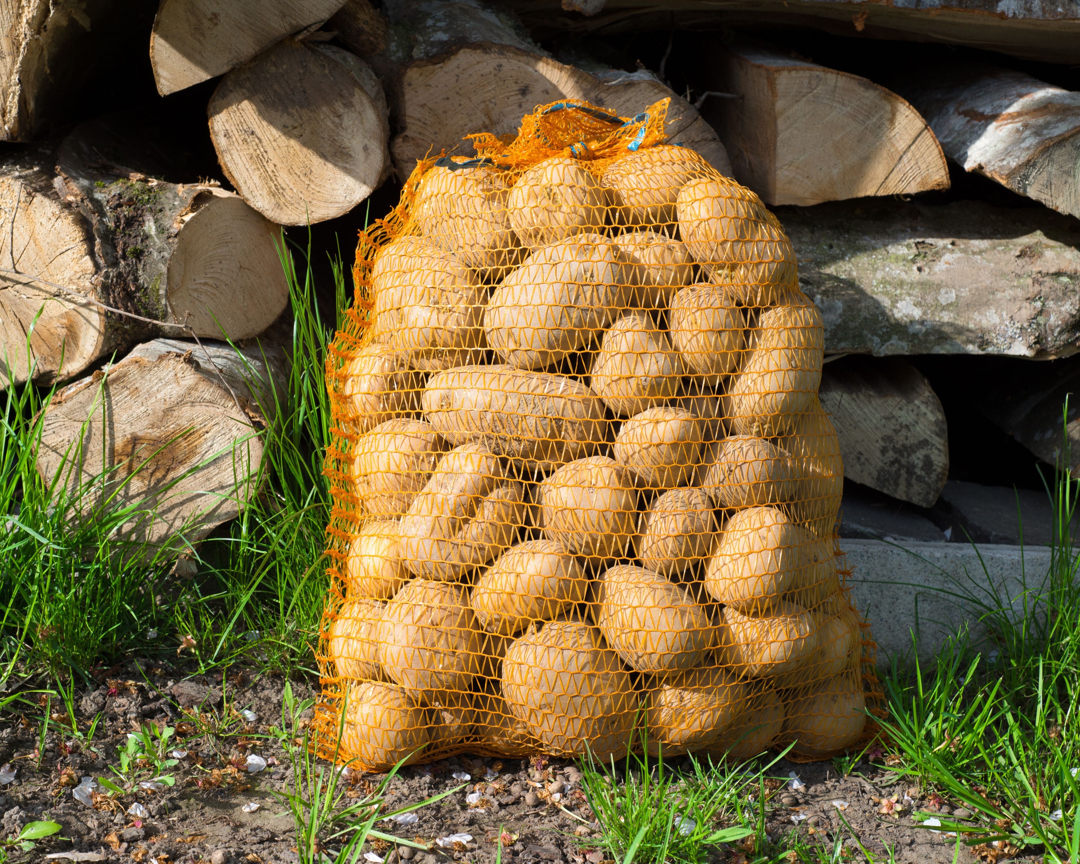 Raschelsäcke für Kartoffeln, Gemüse & Zwiebeln – Atmungsaktive & Reißfeste Lagerbeutel