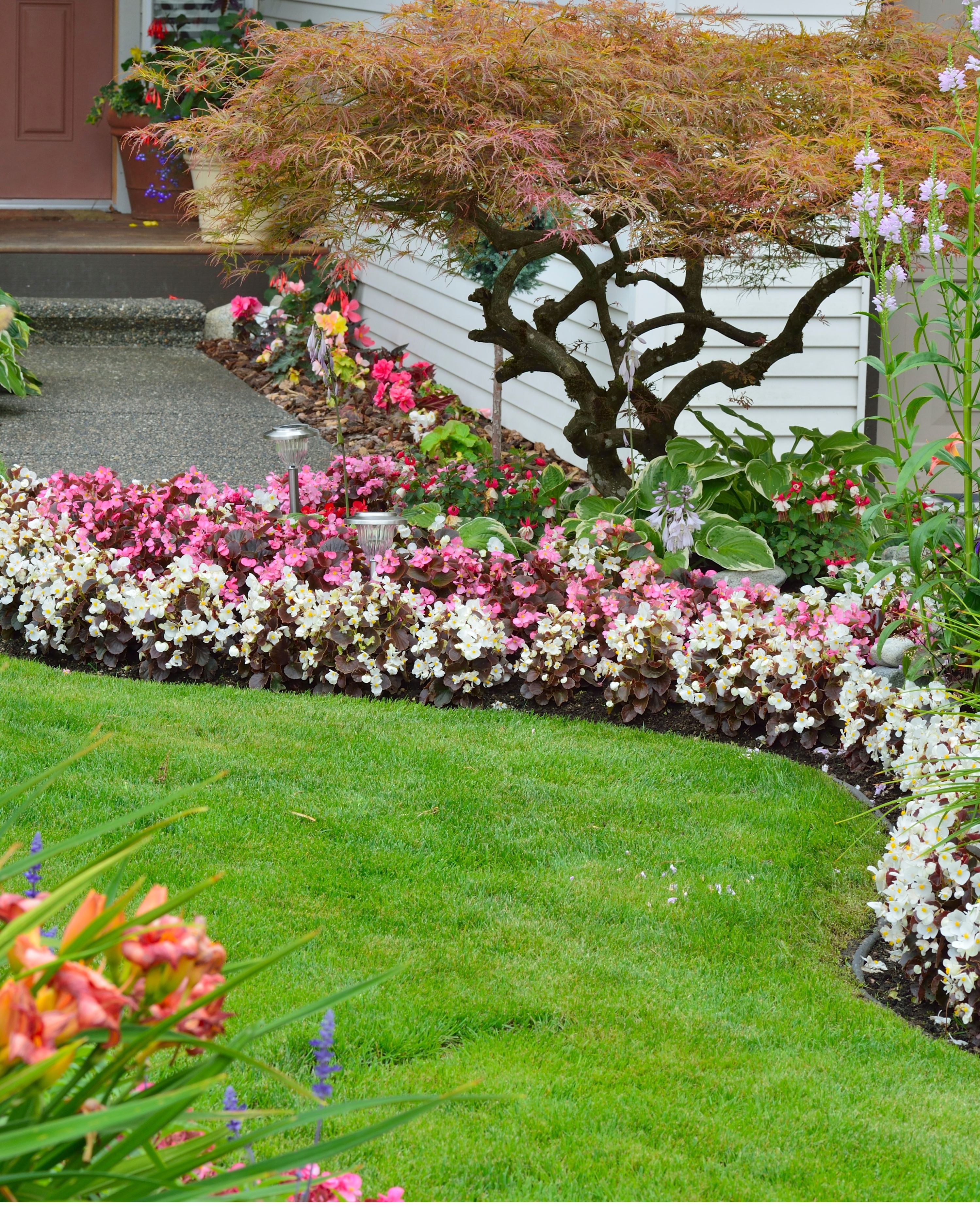 Rasenkante Gardener 4cm x 10m Beetumrandung Mähkante Gehweg Abgrenzung Kunststoff