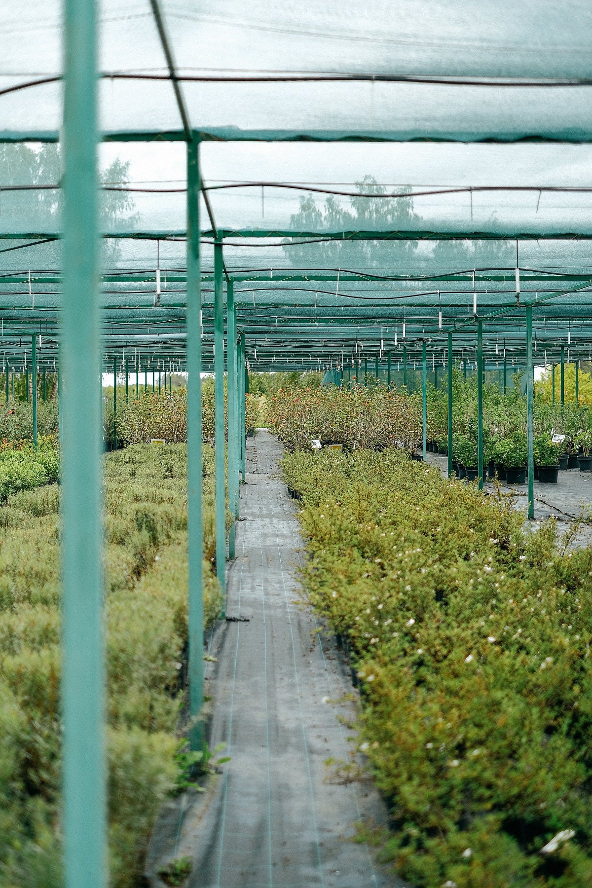 Schattiernetz dunkelgrün – Sonnenschutz mit 40%, 60% oder 85% Schattierwirkung