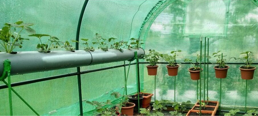 Schattiernetz dunkelgrün – Sonnenschutz mit 40%, 60% oder 85% Schattierwirkung