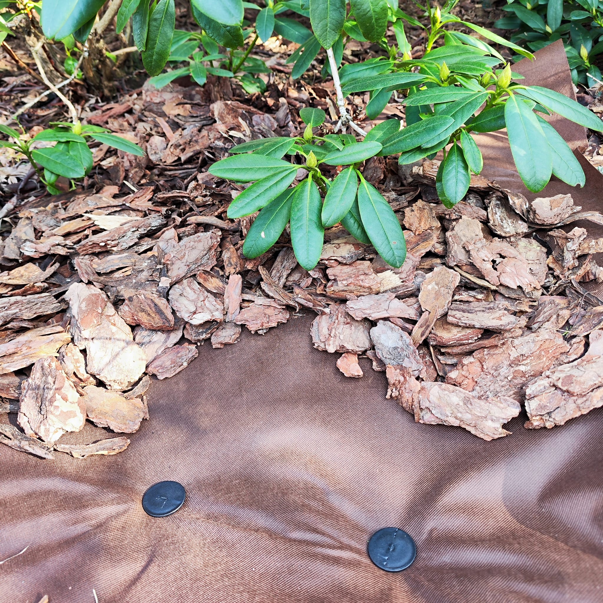 Unkrautvlies 80 g/m² in Schwarz, Weiß und Braun Umweltfreundlich, Wasserdurchlässig & Ideal für Garten & Terrasse