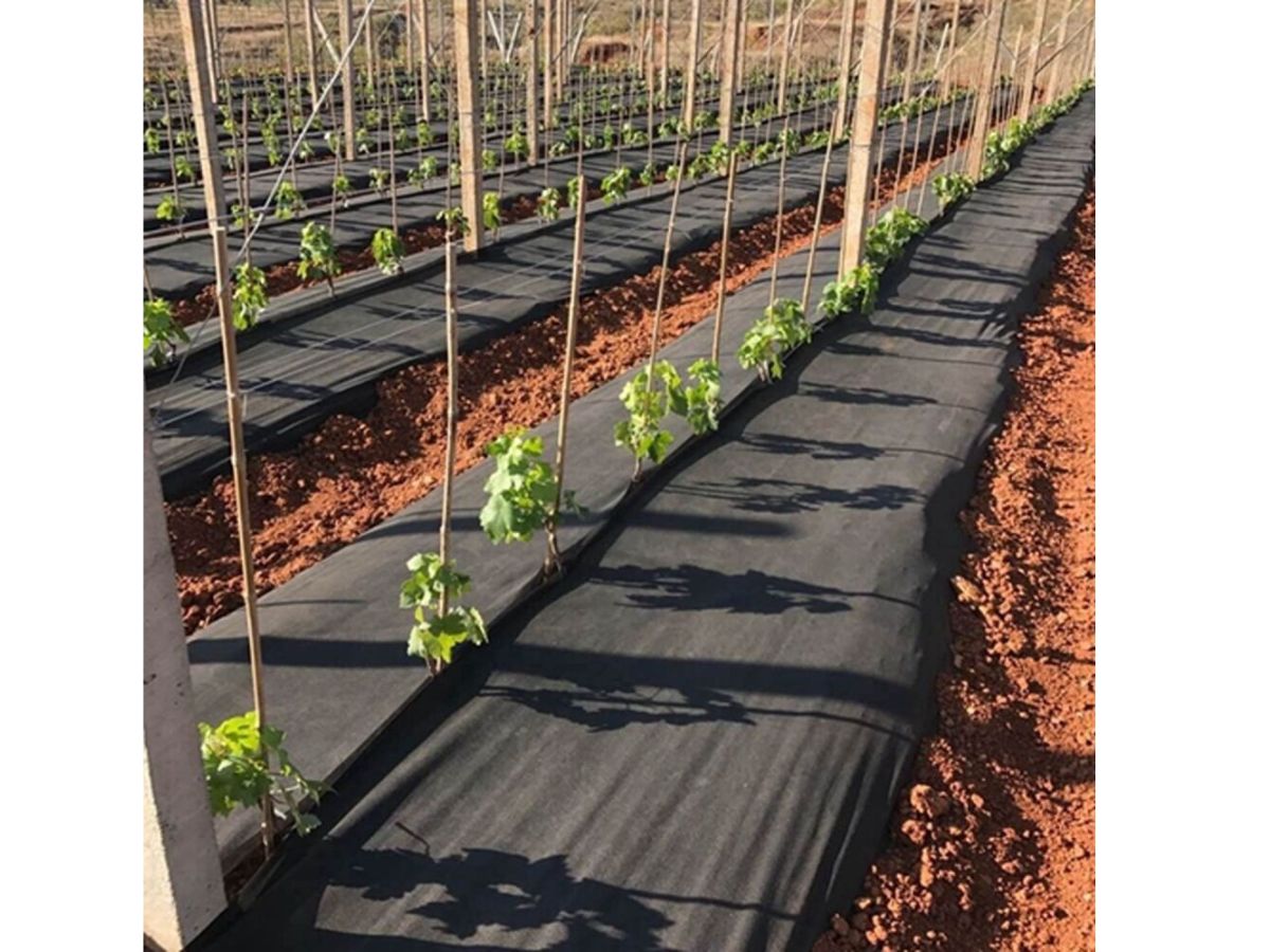 Unkrautvlies 50 g/m² – Umweltfreundlich, Wasserdurchlässig & Ideal für Garten & Terrasse