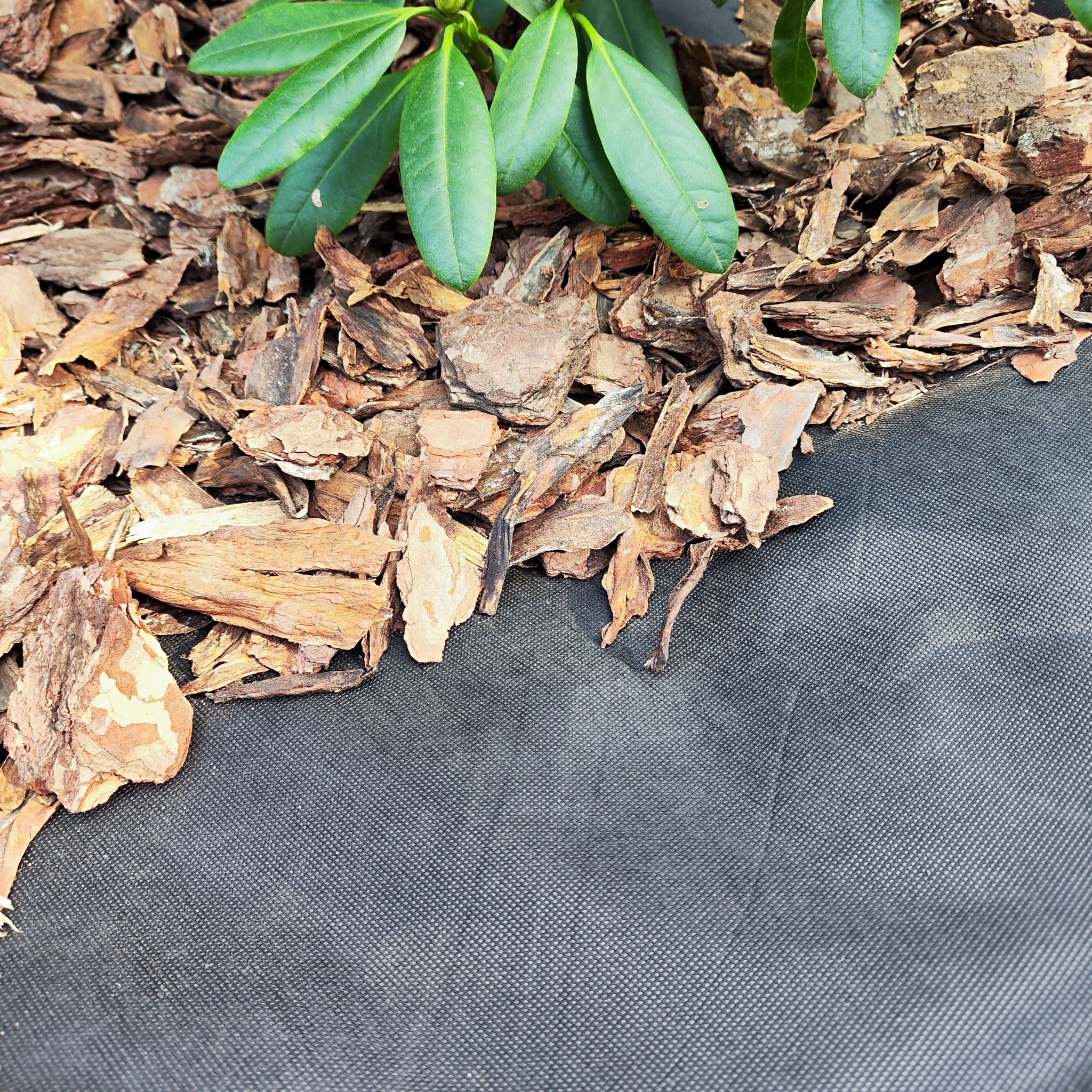 Unkrautvlies 80 g/m² in Schwarz, Weiß und Braun Umweltfreundlich, Wasserdurchlässig & Ideal für Garten & Terrasse