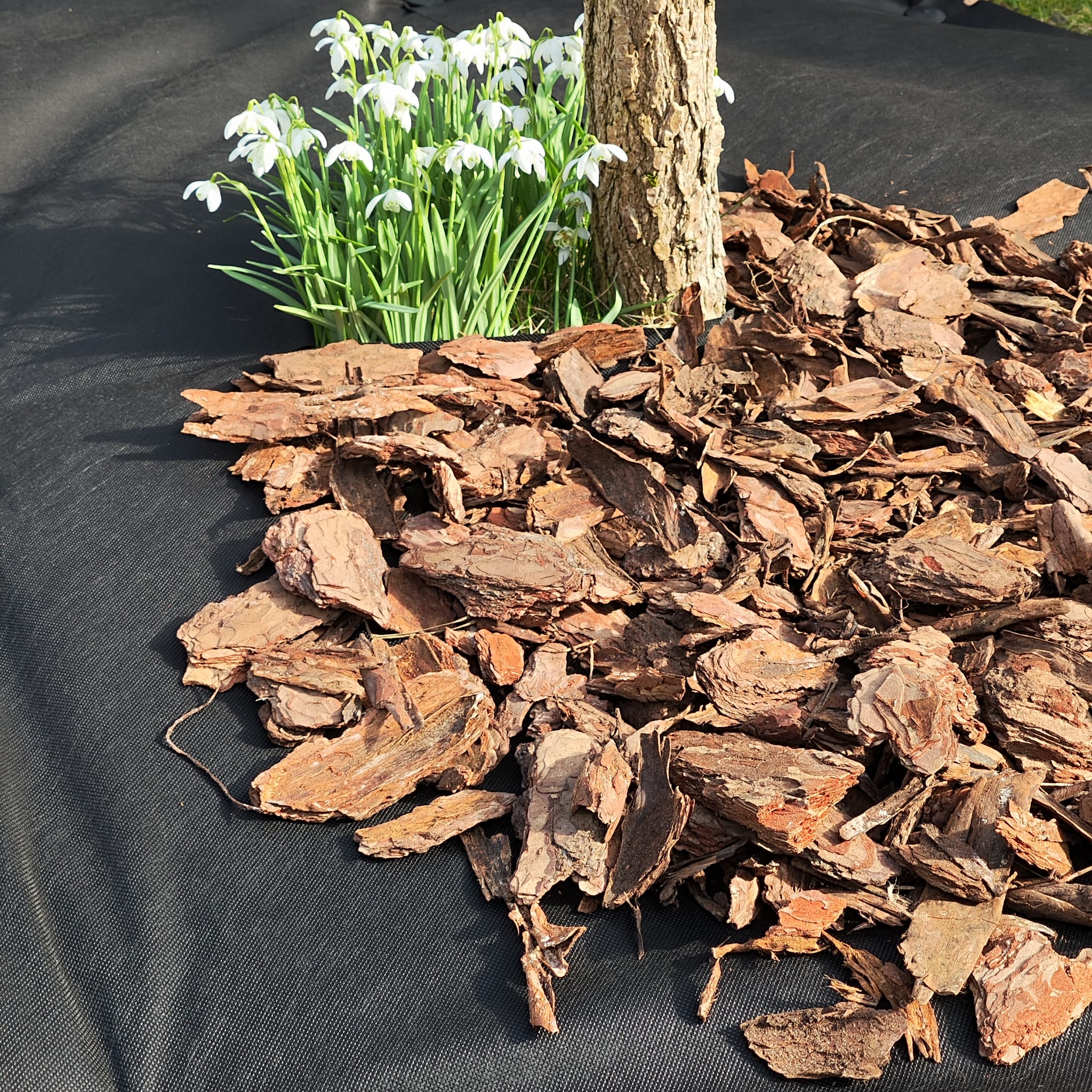 Unkrautvlies 80 g/m² in Schwarz, Weiß und Braun Umweltfreundlich, Wasserdurchlässig & Ideal für Garten & Terrasse