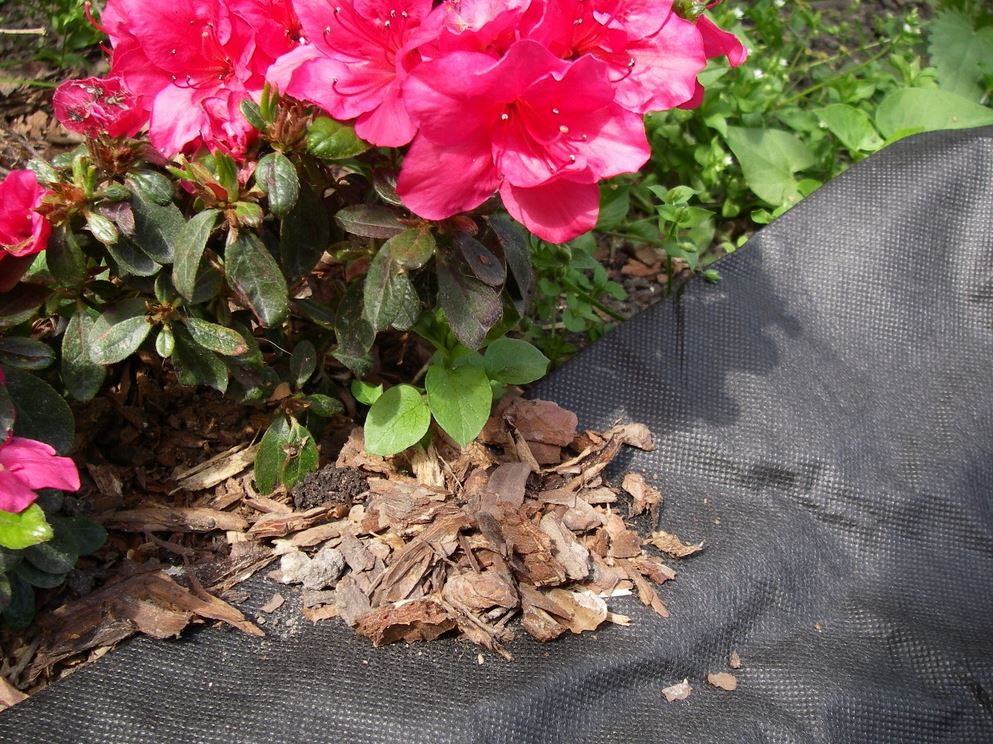 Toile de paillage 50 g/m² – Écologique, perméable à l'eau et idéale pour le jardin et la terrasse.