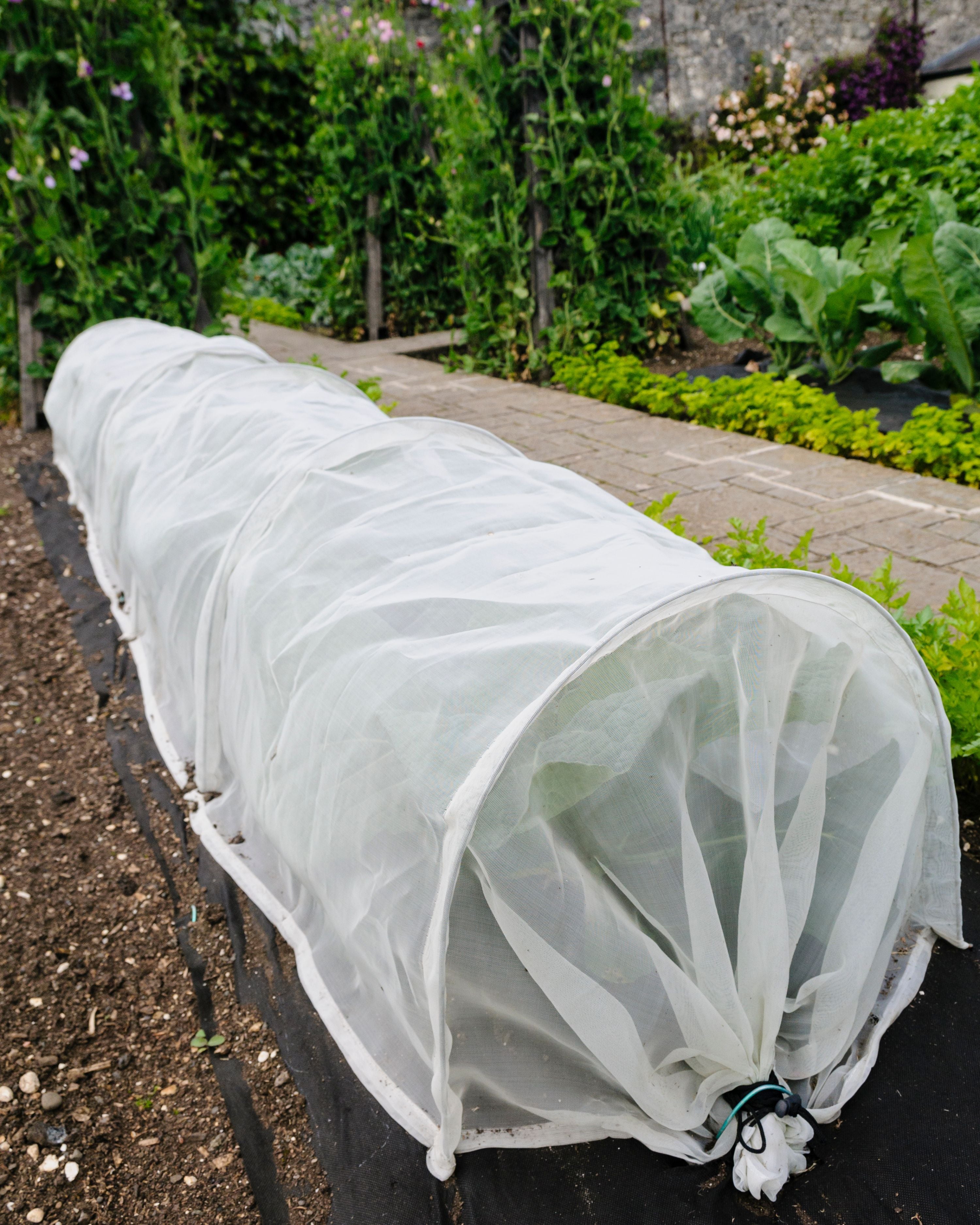 Abdeckvlies für Pflanzen – 19 g/m² & 30 g/m² Frostschutz & Schädlingsschutz Atmungsaktives Pflanzenschutzvlies | 1,6 m Breite