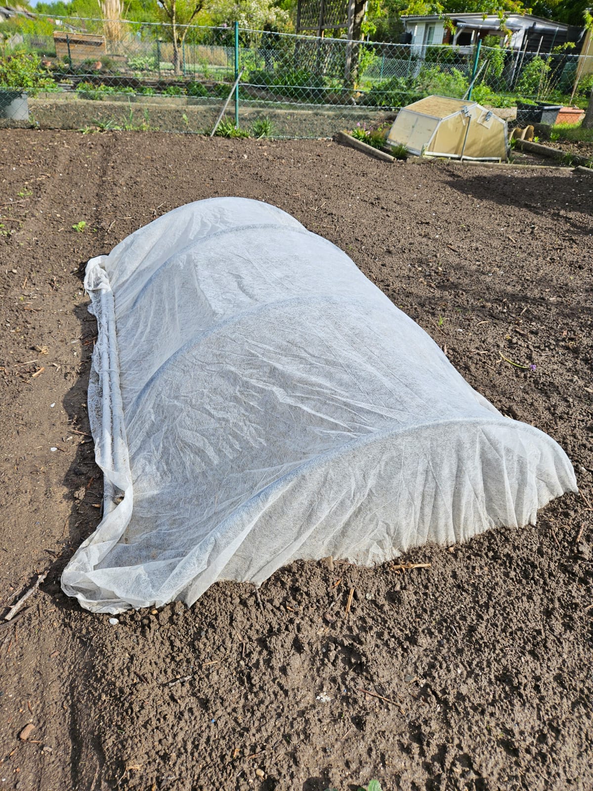 Abdeckvlies für Pflanzen – 19 g/m² & 30 g/m² Frostschutz & Schädlingsschutz Atmungsaktives Pflanzenschutzvlies | 1,6 m Breite