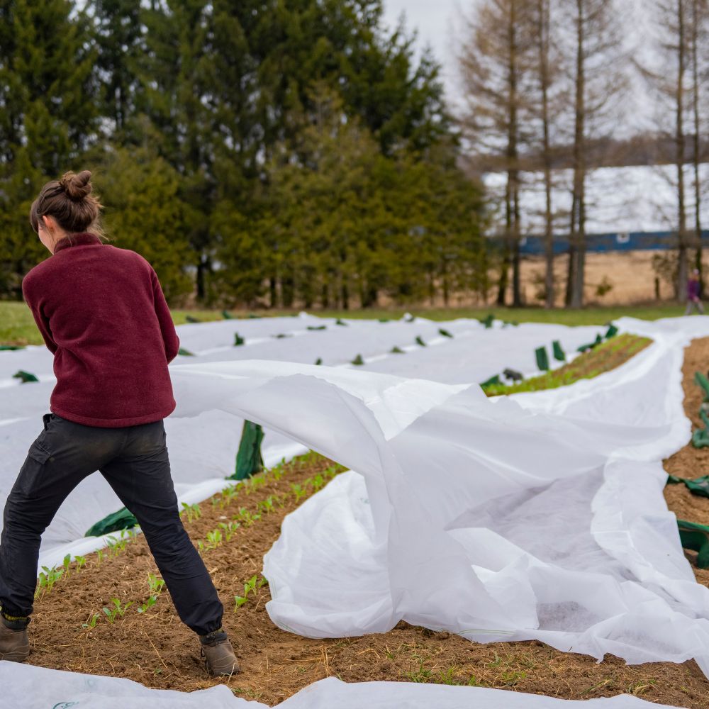 Unkrautvlies 60 g/m² – Weiß, Umweltfreundlich, Wasserdurchlässig & Ideal für Garten & Terrasse