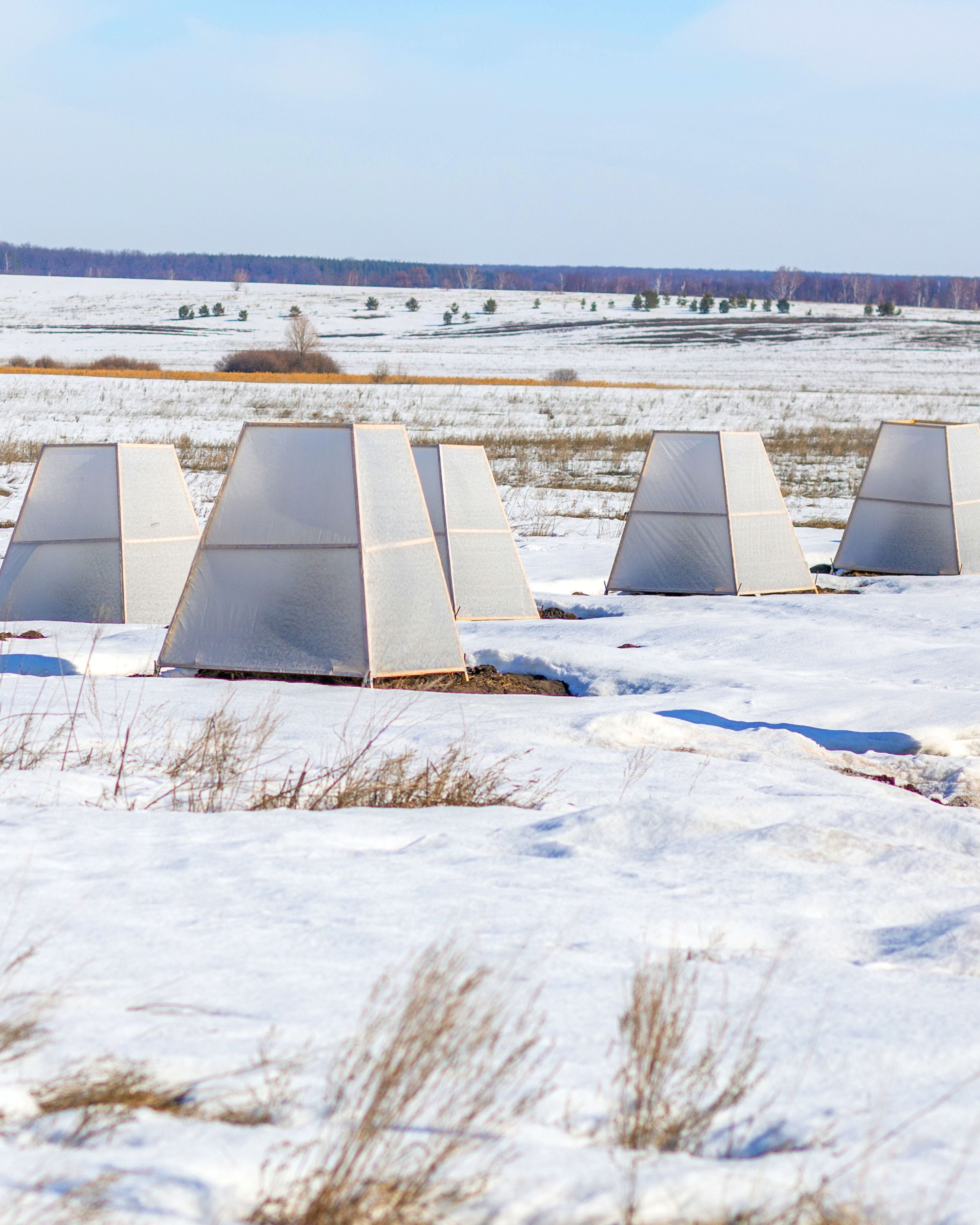 Unkrautvlies 80 g/m² in Schwarz, Weiß und Braun Umweltfreundlich, Wasserdurchlässig & Ideal für Garten & Terrasse