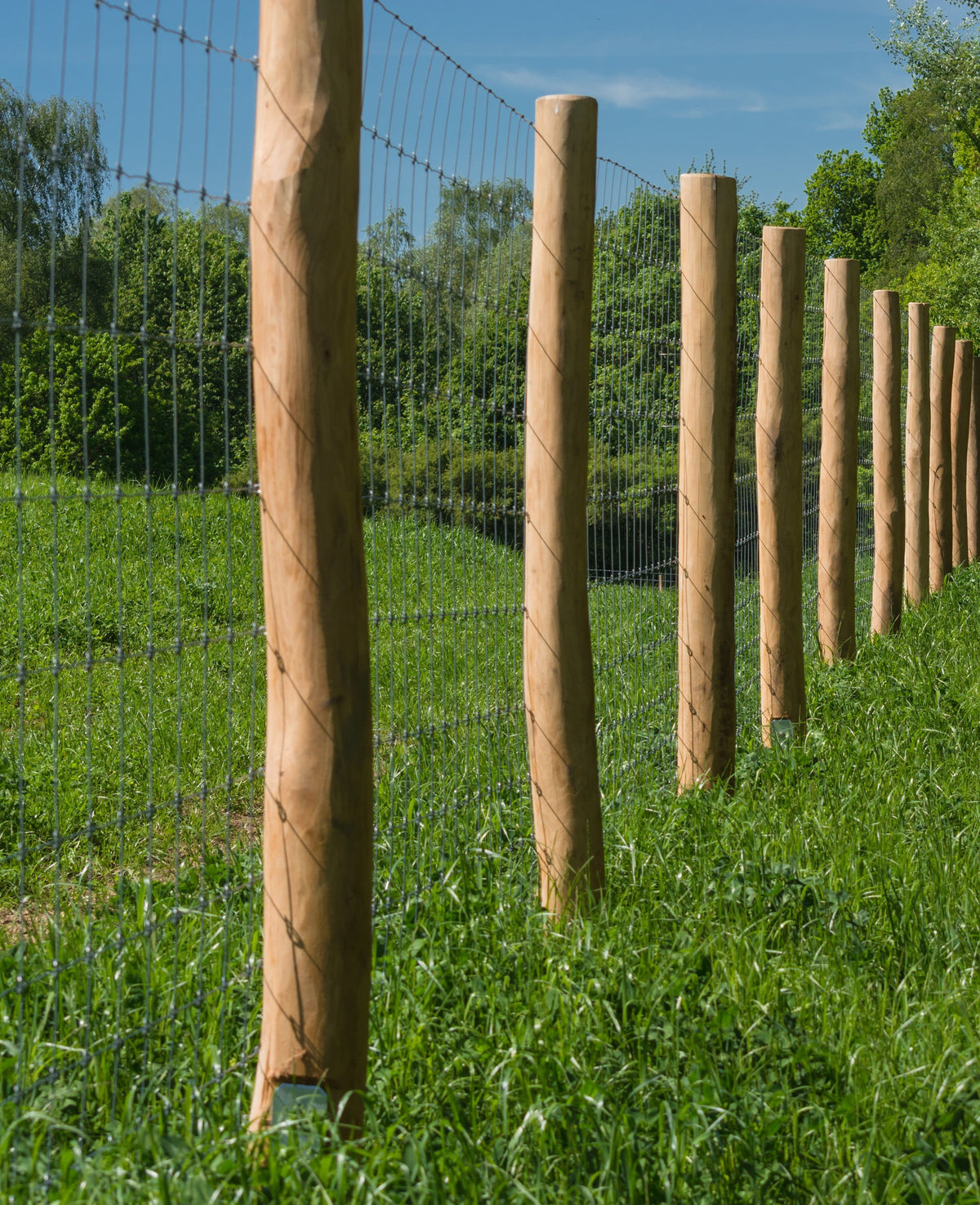 Recinzione per selvaggina 1,5 x 25 m, recinzione per pascolo zincata, rete protettiva, recinzione in filo metallico, recinzione forestale