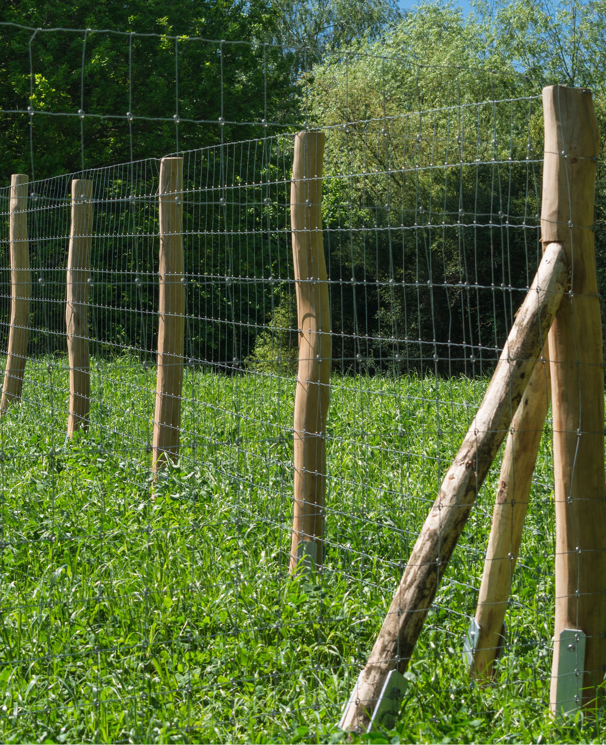 Recinzione per selvaggina 1,5 x 25 m, recinzione per pascolo zincata, rete protettiva, recinzione in filo metallico, recinzione forestale