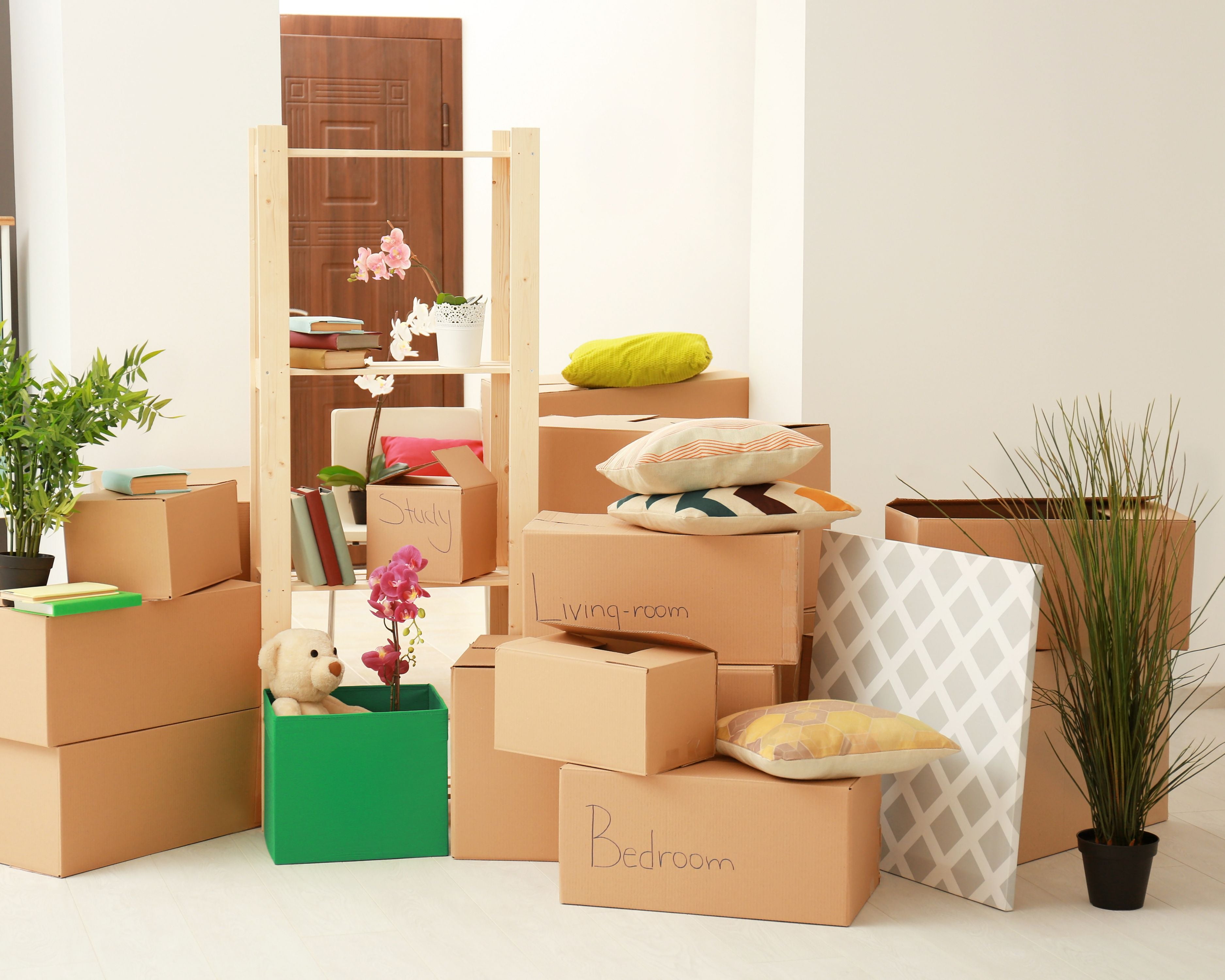 Faltkartons für sicheren Versand – robuste Kartons für Pakete & Lagerung DHL Versandhülse Tube