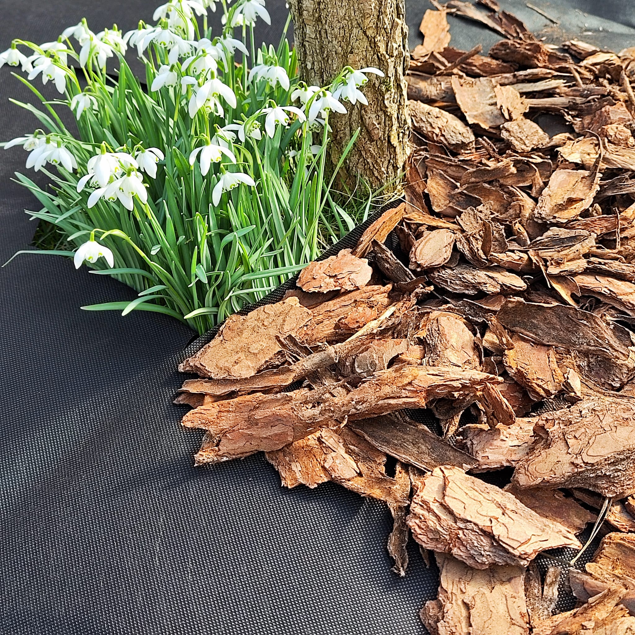 Premium Unkrautvlies 150g/m² – Langlebig, UV-beständig & Optimal für Mulch, Kies & Pflasterarbeiten